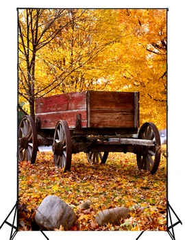 2016 New arrival autumn leaves photography backdrops Newborn baby Halloween photo background for celebration XT-4149
2016 New arrival autumn leaves photography backdrops Newborn baby Halloween photo background for celebration XT-4149
