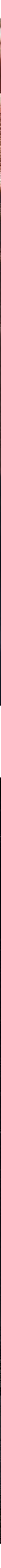 image-09