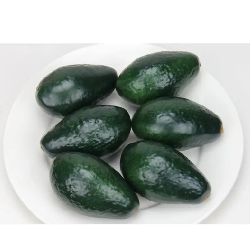 Realistic Lifelike Artificial Fake Fruit Avocado Model Home Wedding Party Christmas Decoration Teaching Props
Realistic Lifelike Artificial Fake Fruit Avocado Model Home Wedding Party Christmas Decoration Teaching Props