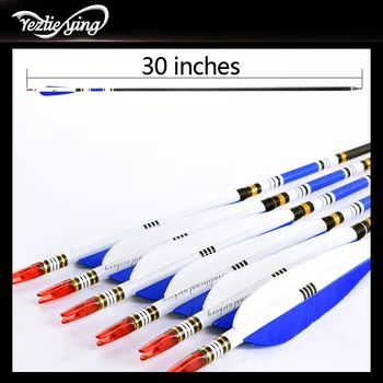 12PCS 30 Inch Pure Archery Carbon Arrows Blue Turkey Feather 20-50 Pounds Recurve/Compound Bow for shooting
12PCS 30 Inch Pure Archery Carbon Arrows Blue Turkey Feather 20-50 Pounds Recurve/Compound Bow for shooting