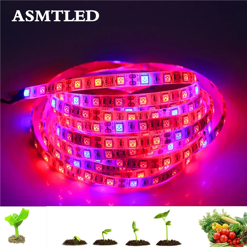 0.5m 1m 2m 3m 4m 5m LED Plant Grow Strip Light 5050 12V Red Blue 3:1 4:1 5:1 IP20 / IP65 Waterproof For Greenhouse Hydroponic
0.5m 1m 2m 3m 4m 5m LED Plant Grow Strip Light 5050 12V Red Blue 3:1 4:1 5:1 IP20 / IP65 Waterproof For Greenhouse Hydroponic