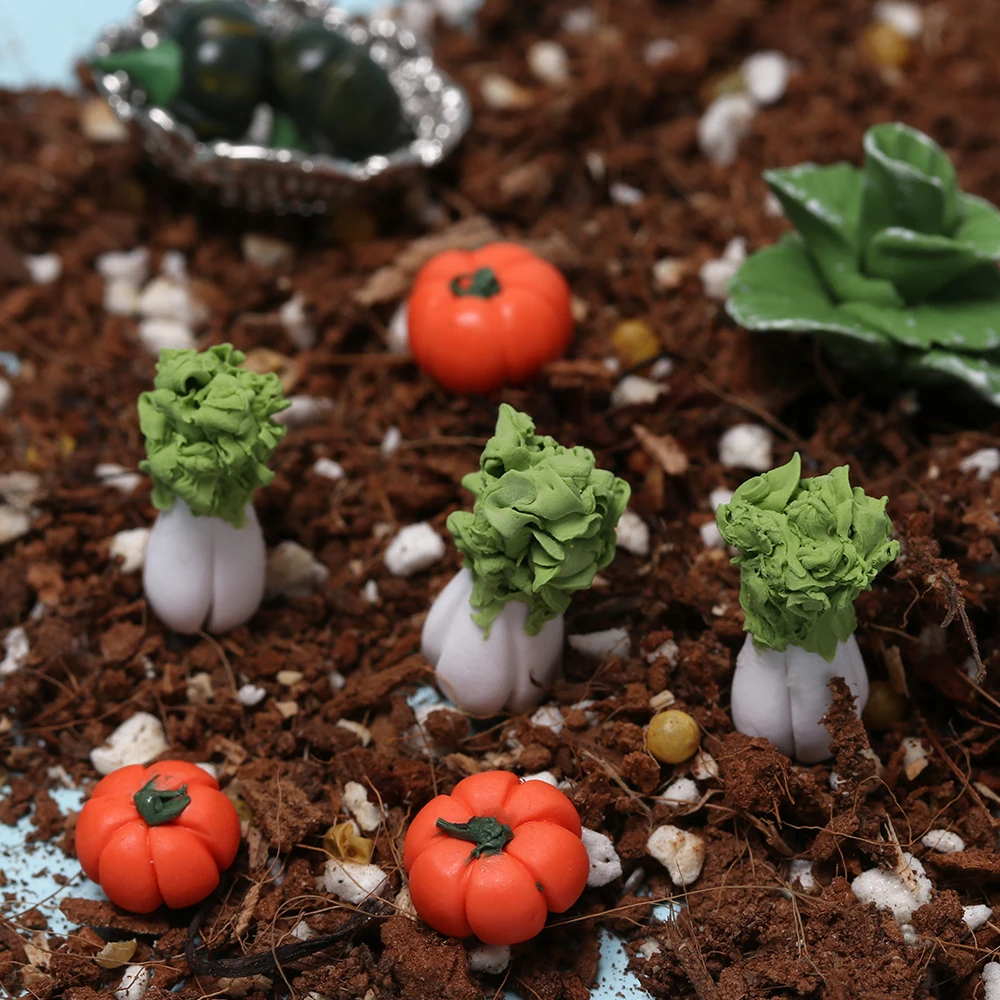 2/5PC 1:12 Dollhouse Toys Miniatures Mini Realistic Handmade Clay Vegetables Cauliflower Chinese Cabbage for Doll Kitchen Toy
2/5PC 1:12 Dollhouse Toys Miniatures Mini Realistic Handmade Clay Vegetables Cauliflower Chinese Cabbage for Doll Kitchen Toy