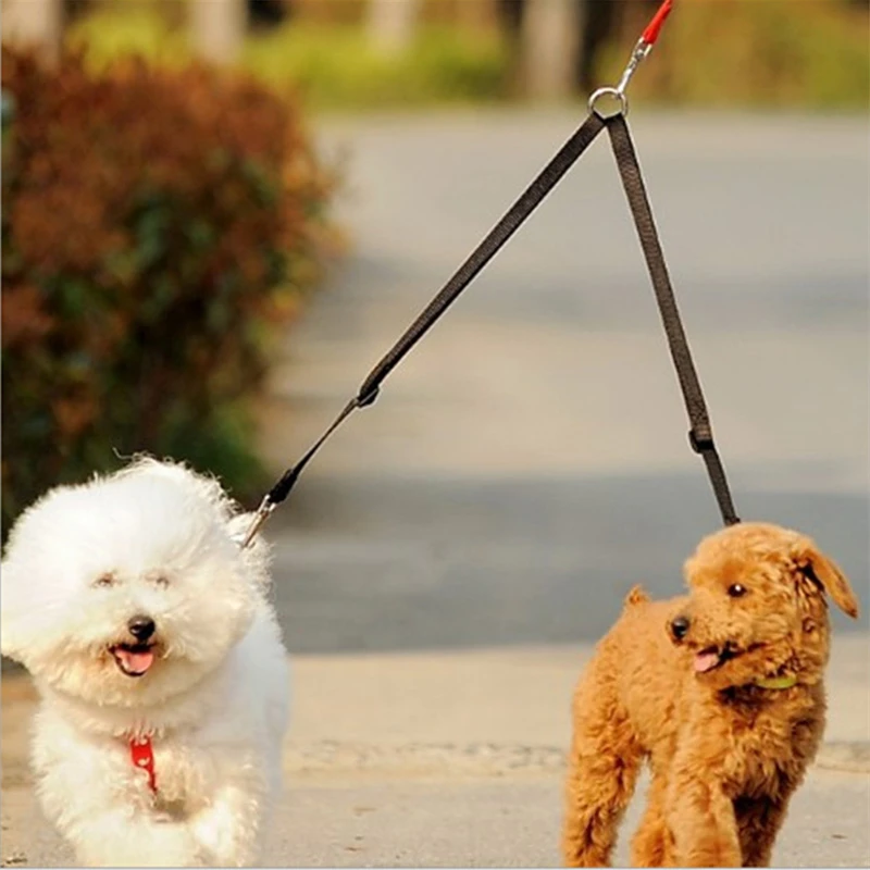 2 In 1 Nylon Dog Leash Double Walking Leashes Couple 2 Way V Shape Collar Lead Leashes For 2 Dogs Puppy Dog Accessories
2 In 1 Nylon Dog Leash Double Walking Leashes Couple 2 Way V Shape Collar Lead Leashes For 2 Dogs Puppy Dog Accessories