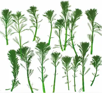 120pcs 5-10cm Pressed Dried Pine Leaves Flowers Plants Herbarium For Jewelry Postcard Phone Case Photo Frame Bookmark Craft DIY
120pcs 5-10cm Pressed Dried Pine Leaves Flowers Plants Herbarium For Jewelry Postcard Phone Case Photo Frame Bookmark Craft DIY