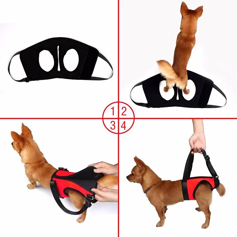 S/M/L Elderly Sick Dog Lift Support Harness With Handle Neoprene Material | DogsMall-International