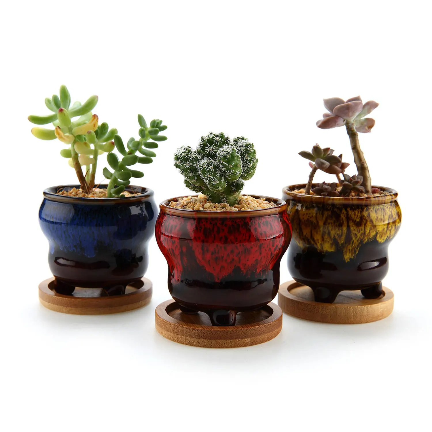T4U 2.5 Inch Ceramic Tripod Succulent Cactus Planter Pot Set with Bamboo Tray Home Decoration Desktop Windowsill Bonsai Pots
T4U 2.5 Inch Ceramic Tripod Succulent Cactus Planter Pot Set with Bamboo Tray Home Decoration Desktop Windowsill Bonsai Pots