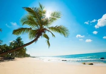 HUAYI Beautiful Beach Scenery Backgrounds Wedding Photo Backdrop Fabric Newborn Photography Backdrops For Photo Studio XT-5875
HUAYI Beautiful Beach Scenery Backgrounds Wedding Photo Backdrop Fabric Newborn Photography Backdrops For Photo Studio XT-5875