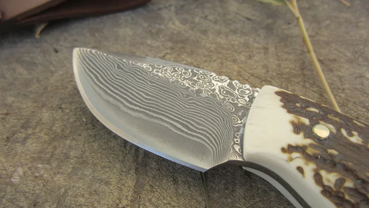 3604254604_742635196