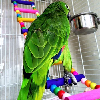 31/42/56 cm Pet Bird Toys Colourful Wooden Ball Ladder Climb Parrot Macaw Cage Swing Shelf Parrot Bites Play brinquedo
31/42/56 cm Pet Bird Toys Colourful Wooden Ball Ladder Climb Parrot Macaw Cage Swing Shelf Parrot Bites Play brinquedo