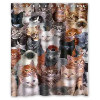 All Kinds of Cats Background Waterproof Shower Curtain
All Kinds of Cats Background Waterproof Shower Curtain