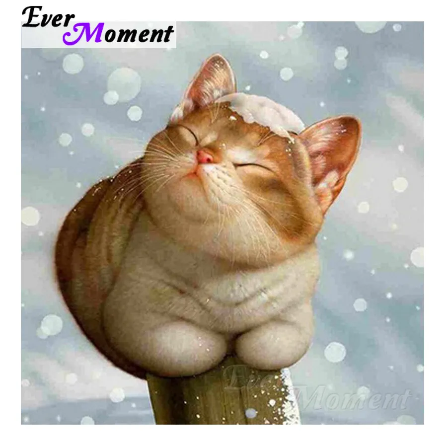 Ever Moment Diamond Painting Cat Animal Rhinestones Full Square Drill Picture Mosaic Diamond Embroidery 5D DIY Decor S2F664
Ever Moment Diamond Painting Cat Animal Rhinestones Full Square Drill Picture Mosaic Diamond Embroidery 5D DIY Decor S2F664