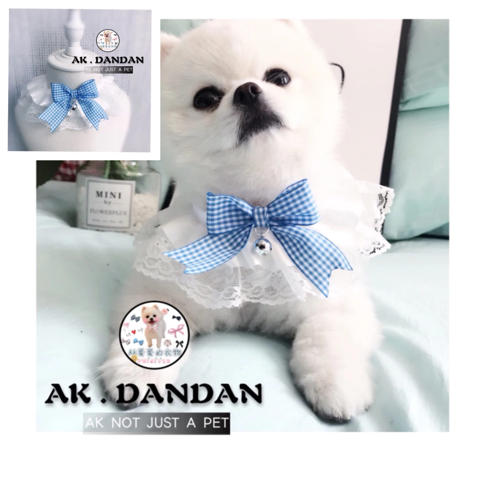 AK eggs, pets, cats, dogs, handicrafts, bibkets, biblets, summer lace, bells, bells and bells.
AK eggs, pets, cats, dogs, handicrafts, bibkets, biblets, summer lace, bells, bells and bells.