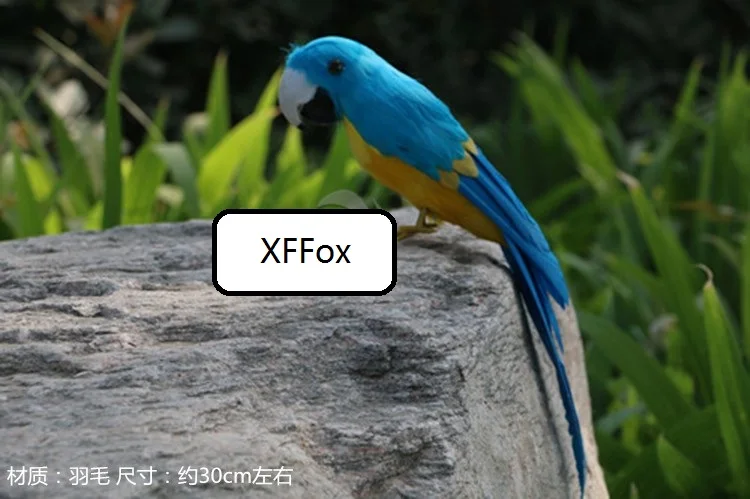 HTB1fK2tLFXXXXXdXFXXq6xXFXXXB