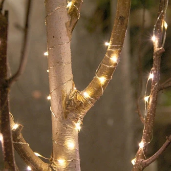 5M DC12V 16.5Ft 50 Leds Silver / Copper Wire LED String Light Starry Lights , Includes DC connector
5M DC12V 16.5Ft 50 Leds Silver / Copper Wire LED String Light Starry Lights , Includes DC connector