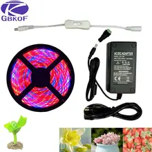 Planta Crescer luzes Espectro Completo LEVOU Tira lâmpada Flor fito 5m azul 4:1 para Estufa Hidropônica Vermelho À Prova D' Água + adaptador de energia(China)