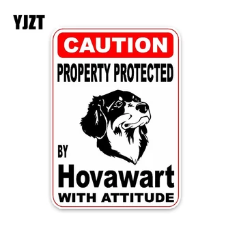 YJZT 10*14.2CM Property Protected By Hovawart Dog Hipster Cartoon Animal PVC Car Sticker C1-4552
YJZT 10*14.2CM Property Protected By Hovawart Dog Hipster Cartoon Animal PVC Car Sticker C1-4552