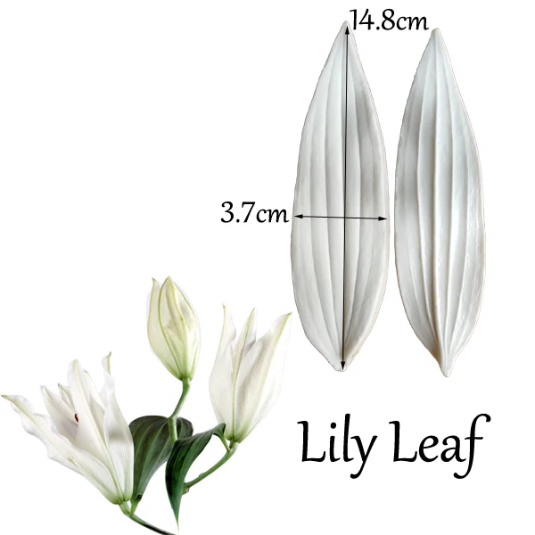 Lily leaf-like silicone molds, 2pcs, cake decoration tools, fondant, sugarcraft, paste, clay, water paper, m2120
Lily leaf-like silicone molds, 2pcs, cake decoration tools, fondant, sugarcraft, paste, clay, water paper, m2120
