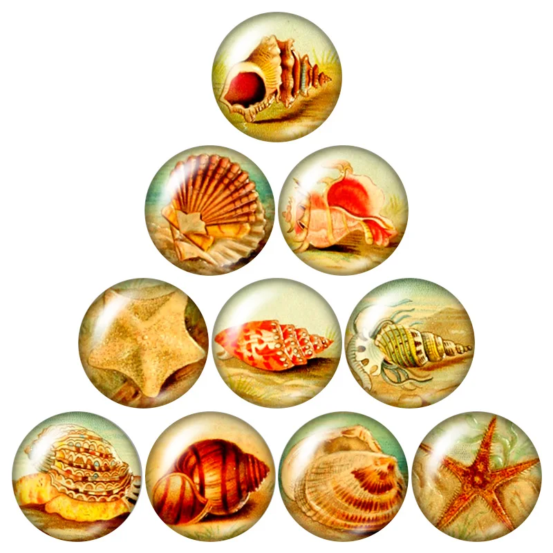 New conch Fishes Turtle goldfish 10pcs mixed 12mm/16mm/18mm/25mm Round photo glass cabochon demo flat back Making findings
New conch Fishes Turtle goldfish 10pcs mixed 12mm/16mm/18mm/25mm Round photo glass cabochon demo flat back Making findings