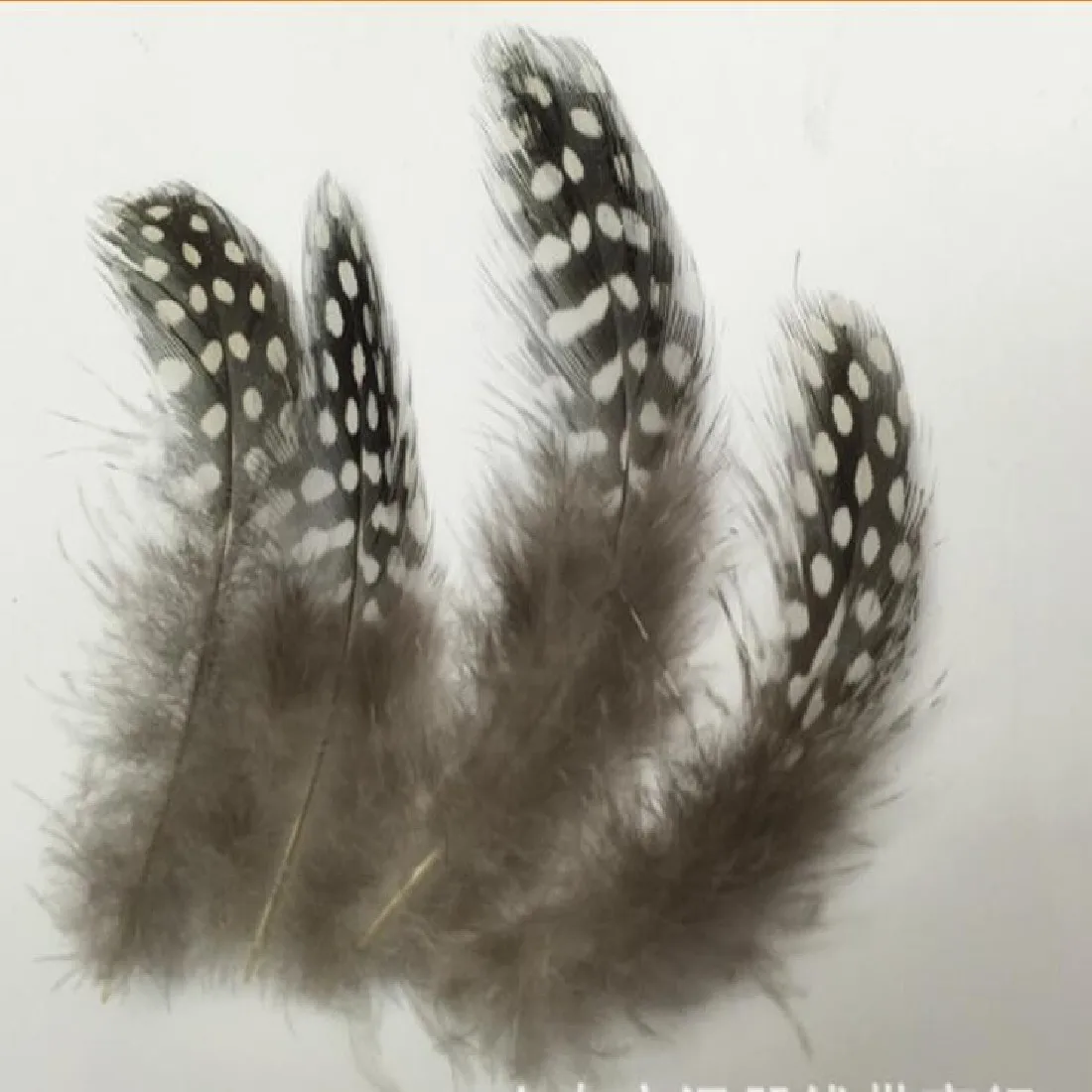 Fashion 10PCS Original Color Pearl Shaped Feather 5-10cm Clothings Decoration Plumage Accessories Chicken Lovely Decorative
Fashion 10PCS Original Color Pearl Shaped Feather 5-10cm Clothings Decoration Plumage Accessories Chicken Lovely Decorative