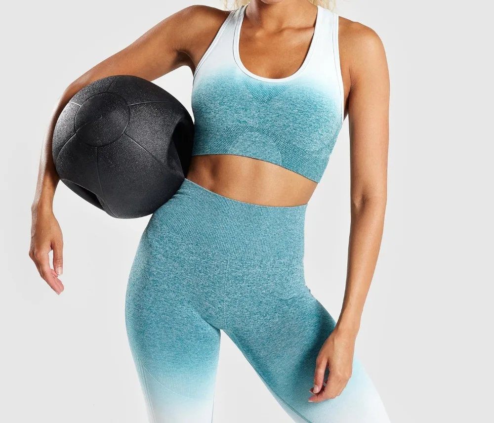 Women 2 Pcs Yoga Set Gym Clothing Ombre Sports Bra Seamless Leggings Workout Sport Suit Women Long Sleeve Fitness Set
Women 2 Pcs Yoga Set Gym Clothing Ombre Sports Bra Seamless Leggings Workout Sport Suit Women Long Sleeve Fitness Set