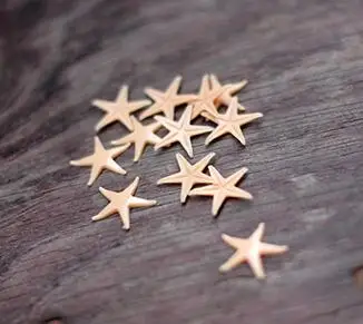 100pcs/lot 1.5-2cm Simulate Resin Starfish Fillers for Glass Bubble Glass Vial Bottle Pendant
100pcs/lot 1.5-2cm Simulate Resin Starfish Fillers for Glass Bubble Glass Vial Bottle Pendant