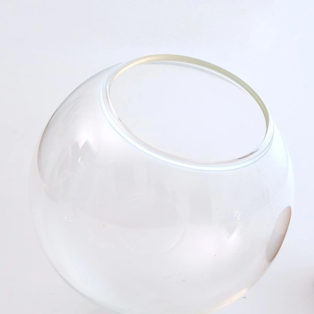 10 Pcs Transparent Glass Ball Shaped Cover Dried Flower Foliage Container DIY Micro Landscape Fairy Decor 10 Pcs Transparent Glass Ball Shaped Cover Dried Flower Foliage Container DIY Micro Landscape Fairy Decor