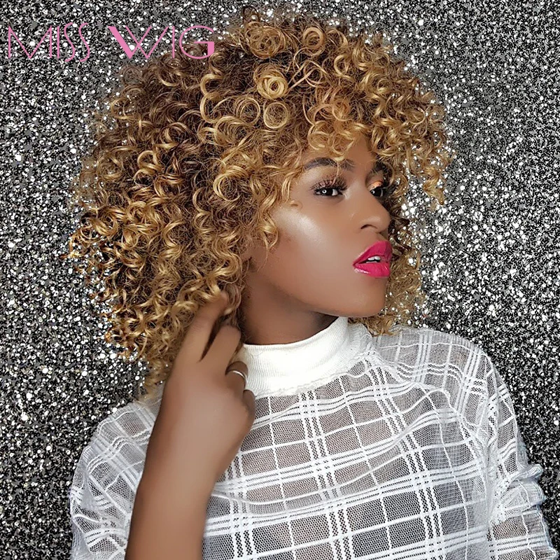 MISS WIG 16Inches Long Afro Kinky Curly Wigs for Black Women Blonde Mixed Brown Synthetic Wigs African Hairstyle-+