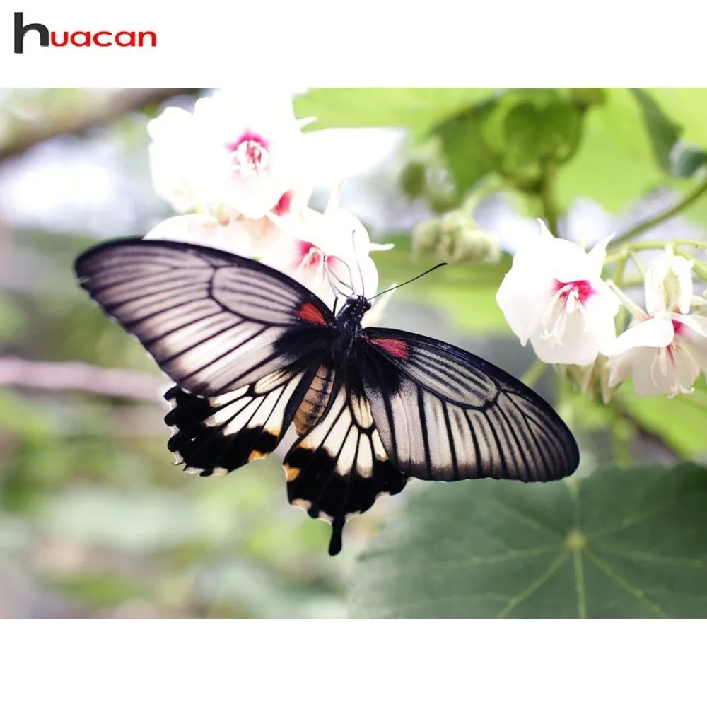 HUACAN 5D DIY Diamond Painting Butterfly Decoration Home Diamond Embroidery Animals Full Square Picture Of Rhinestone
HUACAN 5D DIY Diamond Painting Butterfly Decoration Home Diamond Embroidery Animals Full Square Picture Of Rhinestone