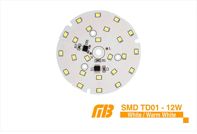 LED Down Light_TD-01 Chip_06