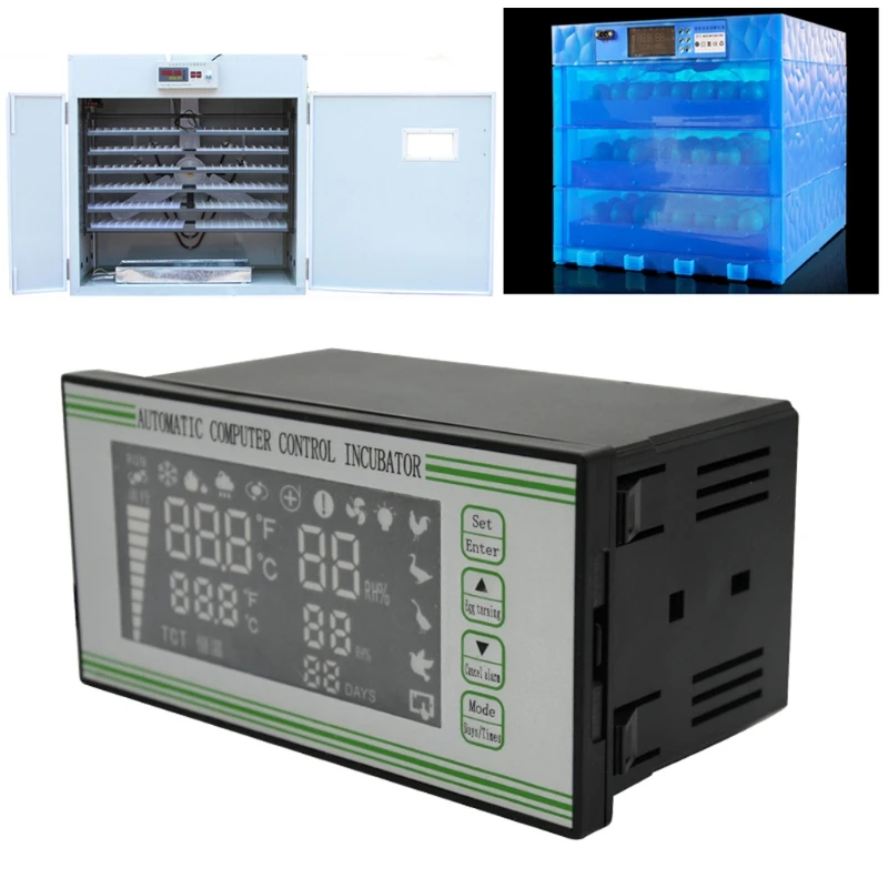 Incubator Controller Thermostat Full Automatic And Multifunction Egg Incubator Control System
Incubator Controller Thermostat Full Automatic And Multifunction Egg Incubator Control System