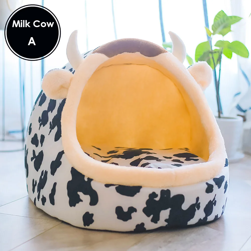 Milk Cow A