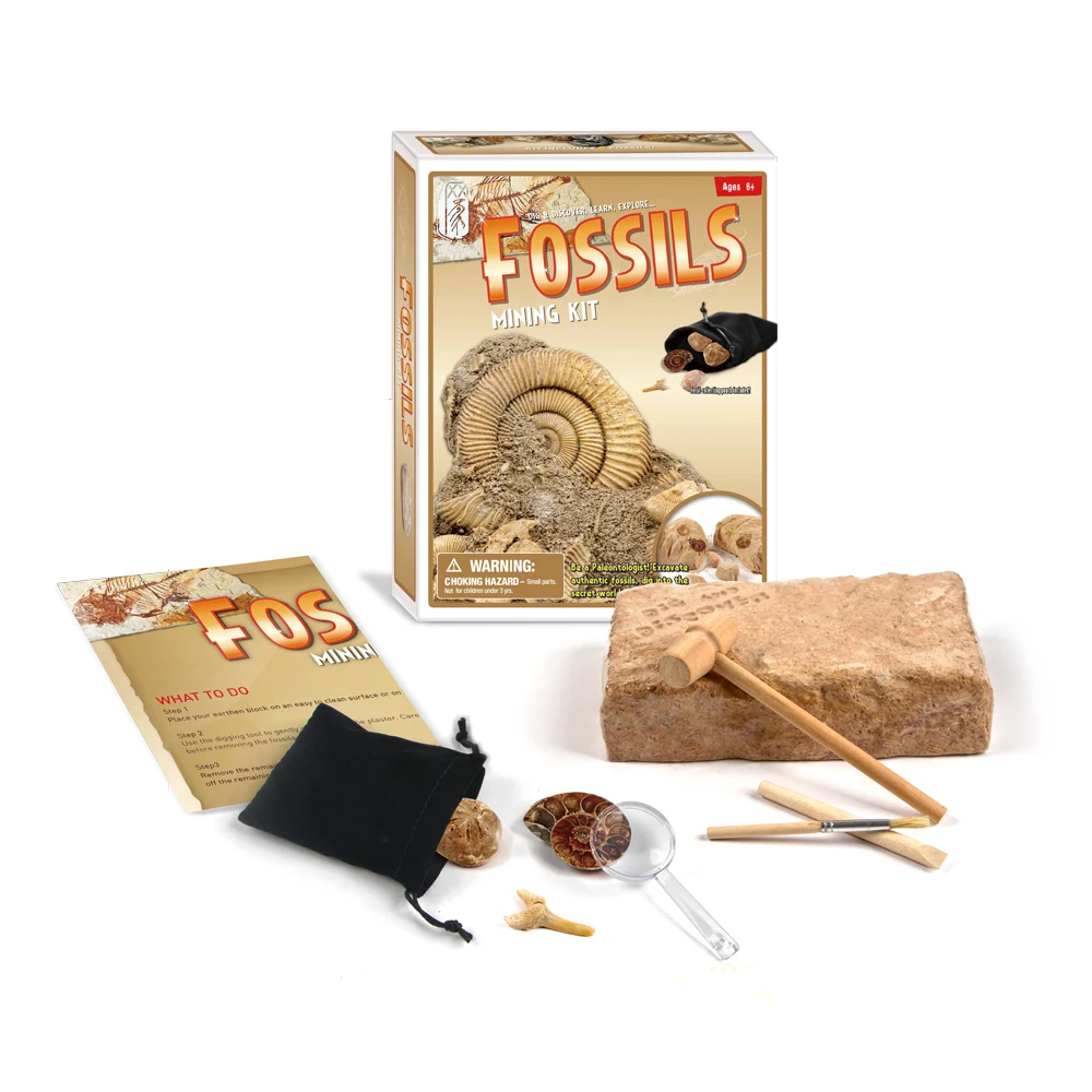 Children History Learning Tool Shellfish Fossil Excavation Toy Kits Classic Traditional Science Educational Learning Toy gifts
Children History Learning Tool Shellfish Fossil Excavation Toy Kits Classic Traditional Science Educational Learning Toy gifts