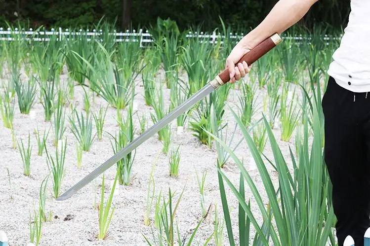 36020170621161037327