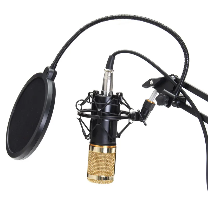 New IRIN BM800 Desktop Condenser Microphone Supply 2.5m Audio Cable Blowout Prevention Net Microphone Suit Videos Live Broadcast
New IRIN BM800 Desktop Condenser Microphone Supply 2.5m Audio Cable Blowout Prevention Net Microphone Suit Videos Live Broadcast