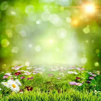 spring green bokeh colorful flower grass backdrops Vinyl cloth High quality Computer print wall Backgrounds
spring green bokeh colorful flower grass backdrops Vinyl cloth High quality Computer print wall Backgrounds