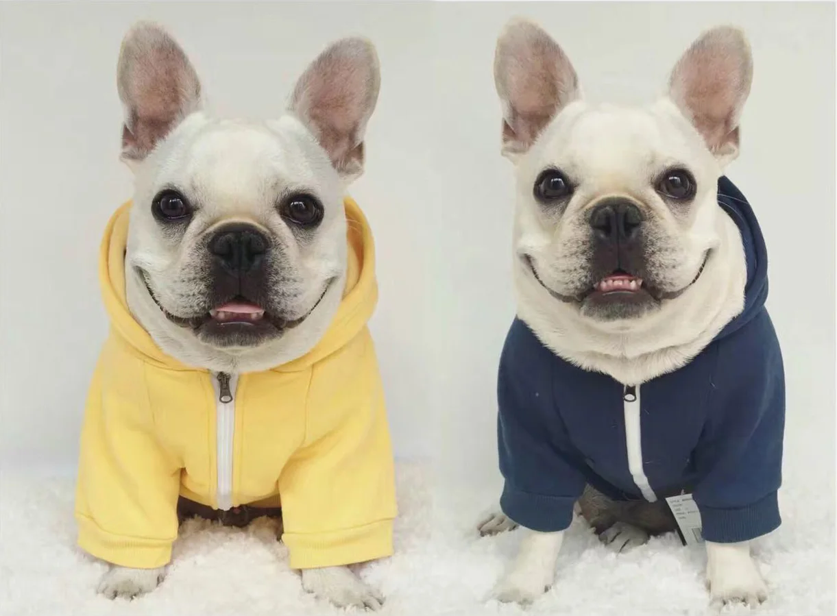 2019 New Warm Pet Dog Clothes Winter Dog Clothes For Small Dogs Clothing Chihuahua Puppy Outfit For Fashion Dog Hoodies
2019 New Warm Pet Dog Clothes Winter Dog Clothes For Small Dogs Clothing Chihuahua Puppy Outfit For Fashion Dog Hoodies
