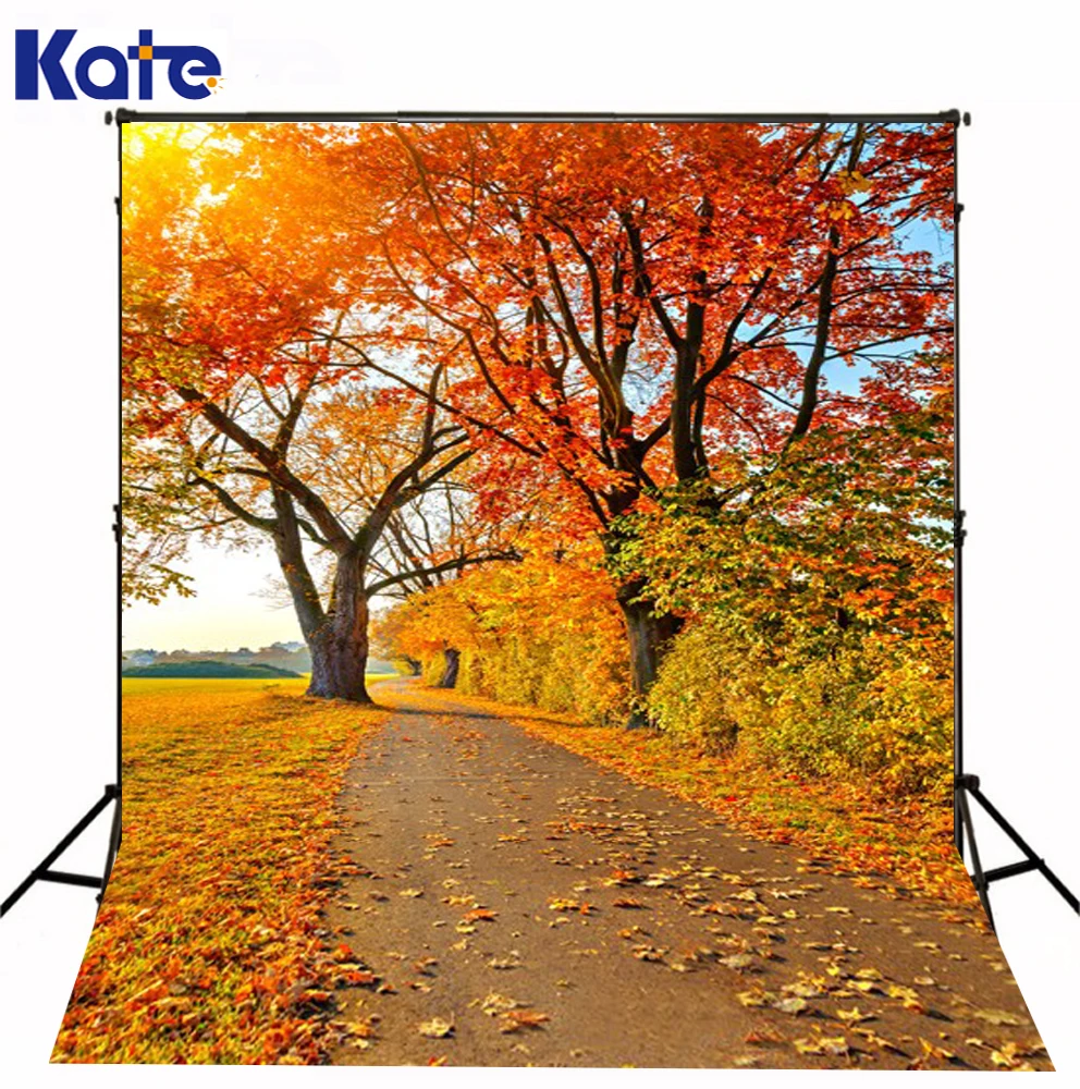 

200Cm*150Cm Autumn Maple Trail Sunshine Backdrop Photography Mini Backgrounds Studio Backgrounds Lk -1641