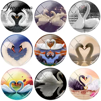 JWEIJIAO Animal Swan Lake Lovers Jewelry DIY Glass Cabochon Dome With Photo Charms For Earrings Brooches Keychain Accessories
JWEIJIAO Animal Swan Lake Lovers Jewelry DIY Glass Cabochon Dome With Photo Charms For Earrings Brooches Keychain Accessories