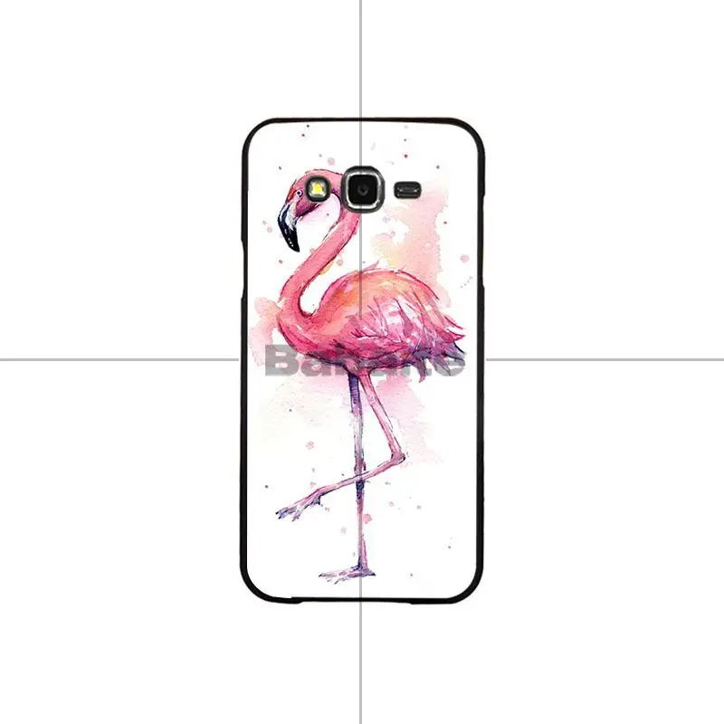 Flamingos Flowers