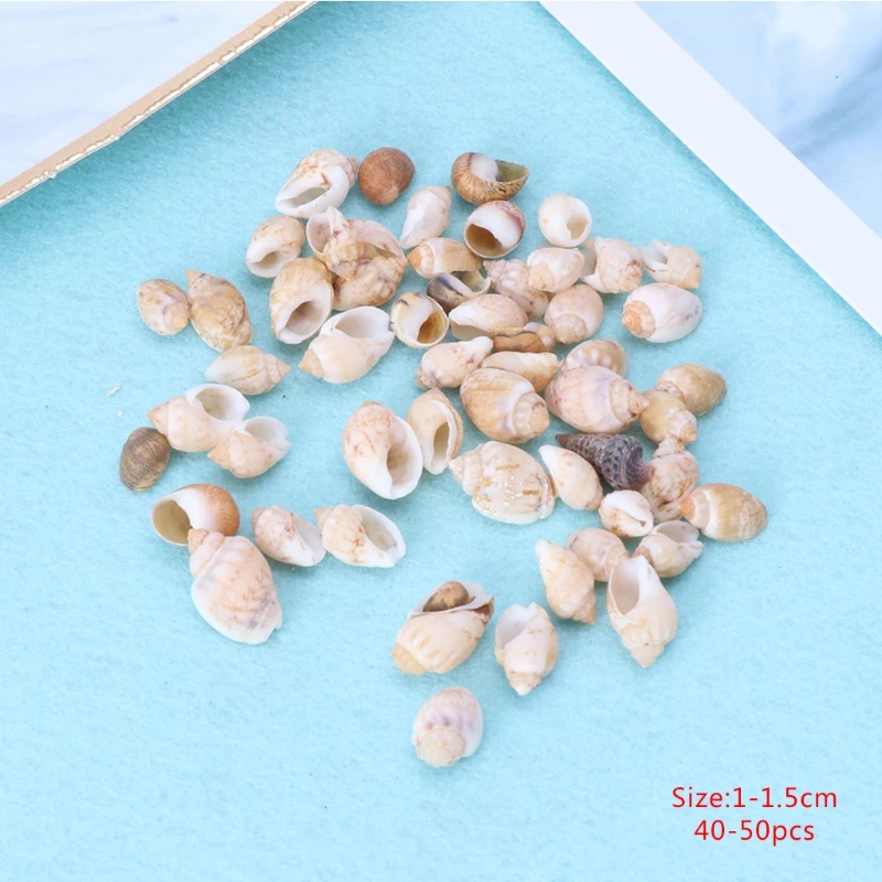 JAVRICK 1 Box DIY Craft Shell Conch Decoration For UV Resin Mold Jewelry Making Stuffing
JAVRICK 1 Box DIY Craft Shell Conch Decoration For UV Resin Mold Jewelry Making Stuffing