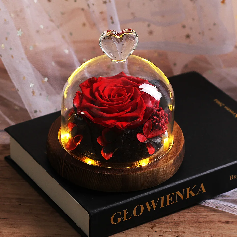Beauty and Beast Rose Flower Led Glass Flower Birthday Decoration Girlfriend Gift Mother's Birthday Gift Christmas Gift
Beauty and Beast Rose Flower Led Glass Flower Birthday Decoration Girlfriend Gift Mother's Birthday Gift Christmas Gift