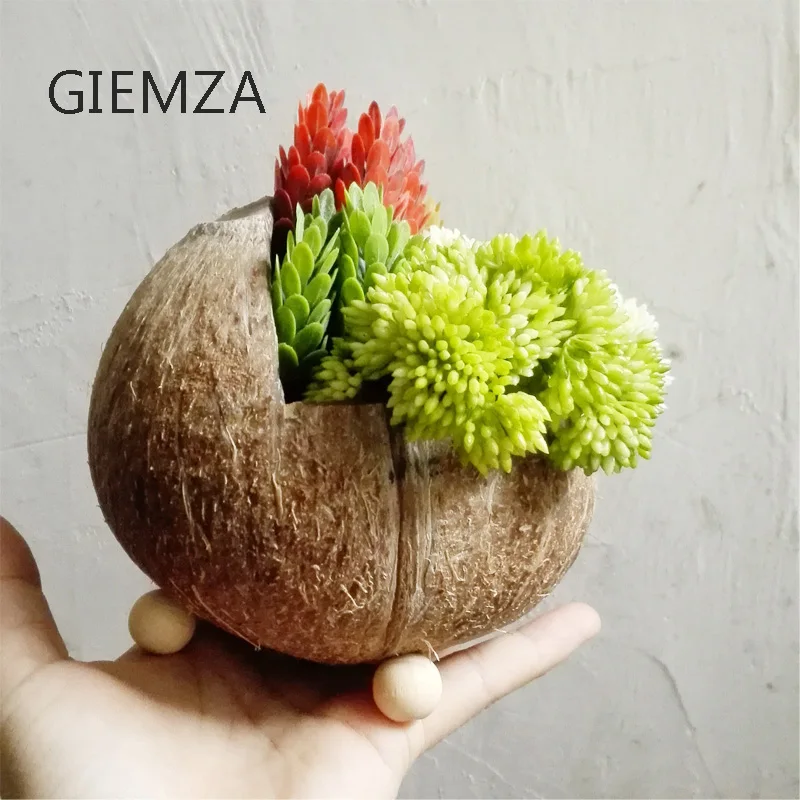 GIEMZA Wooden Vase Coconut Shell for Flower Natural 100% Manual Production Outdoor Garden Home Decorations Hanging Pot
GIEMZA Wooden Vase Coconut Shell for Flower Natural 100% Manual Production Outdoor Garden Home Decorations Hanging Pot
