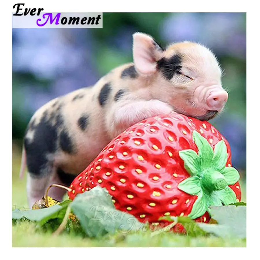 Ever Moment Pig Strawberry Diamond Painting Picture Of Rhinestones Cross Stitch Handmade Diamond Embroidery Full Square S2F1509
Ever Moment Pig Strawberry Diamond Painting Picture Of Rhinestones Cross Stitch Handmade Diamond Embroidery Full Square S2F1509