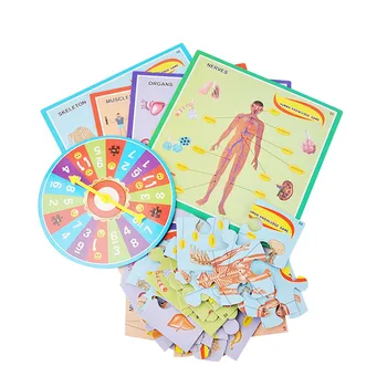 DIY 3D Human Body Structure Puzzle Board Game Paper Jigsaw Floor Puzzle Educational Toys For Children 1-4 players
DIY 3D Human Body Structure Puzzle Board Game Paper Jigsaw Floor Puzzle Educational Toys For Children 1-4 players