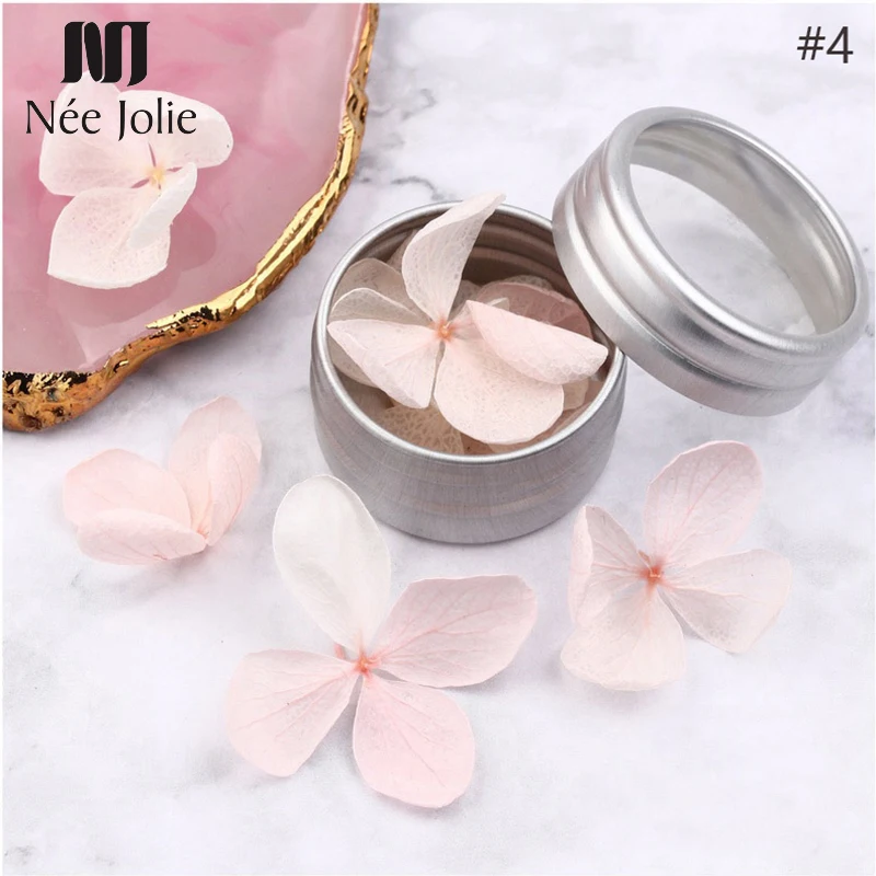 3D Colorful Dried Flowers Pink Red White Mixed Patterns Dry Flower Nail Stickers for Nail Decoration DIY Accessories
3D Colorful Dried Flowers Pink Red White Mixed Patterns Dry Flower Nail Stickers for Nail Decoration DIY Accessories