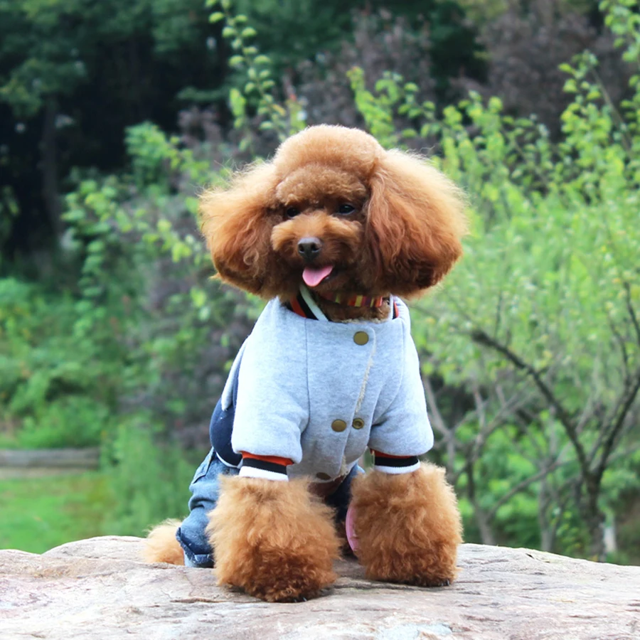 Small Dog Clothes Cotton Winter Warm Suit Autumn Soft Poodle Bichon Teddy Bear Yorkies Clothes Ropa De Perrito Costume 50WY20
Small Dog Clothes Cotton Winter Warm Suit Autumn Soft Poodle Bichon Teddy Bear Yorkies Clothes Ropa De Perrito Costume 50WY20