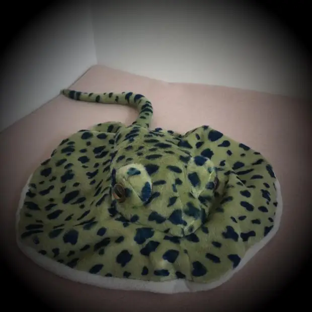 Lifelike Stingray Plush Toy Simulation Animal Sea Fish Stuffed Toys Marine Animals Dolls Fish Toy for Children Birthday Gift
Lifelike Stingray Plush Toy Simulation Animal Sea Fish Stuffed Toys Marine Animals Dolls Fish Toy for Children Birthday Gift