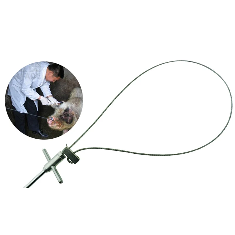 Stainless Steel Wire Catch Pigs Pig Livestock Baoding Device Veterinary Fixed Sleeve Livestock Breeding Equipment
Stainless Steel Wire Catch Pigs Pig Livestock Baoding Device Veterinary Fixed Sleeve Livestock Breeding Equipment