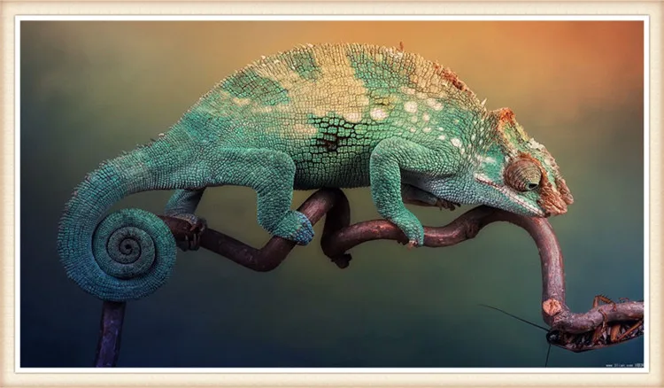 5D DIY Diamond Painting Needlework cross stich Diamond Embroidery Pattern Hobbies and Crafts Home Decor Gifts Lizard 
5D DIY Diamond Painting Needlework cross stich Diamond Embroidery Pattern Hobbies and Crafts Home Decor Gifts Lizard