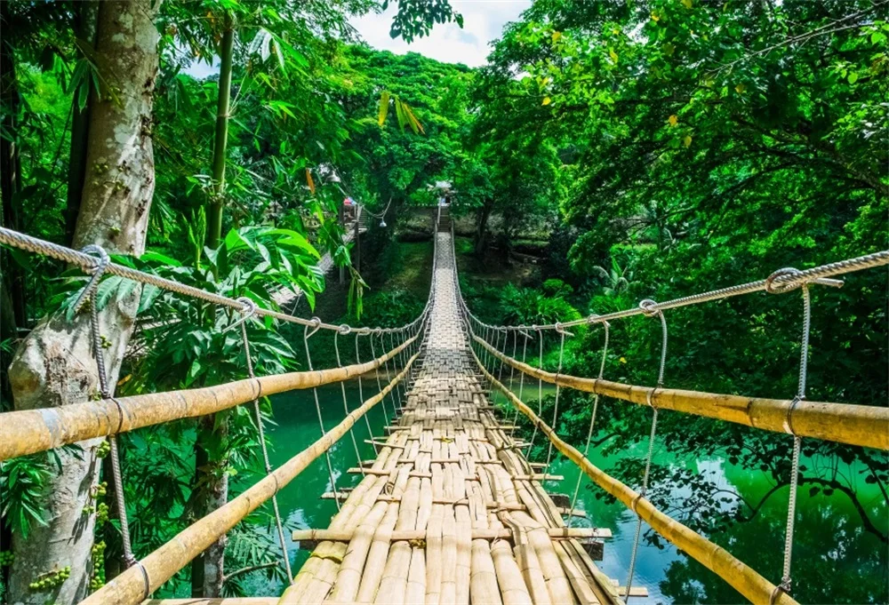 Bohol swinging bridge